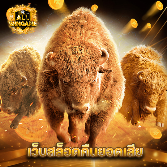 allwingame เว็บสล็อตคืนยอดเสีย